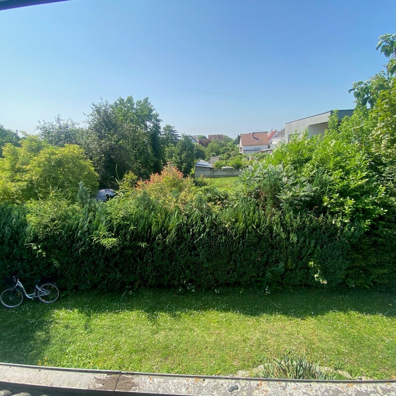 Ausblick nach Süden